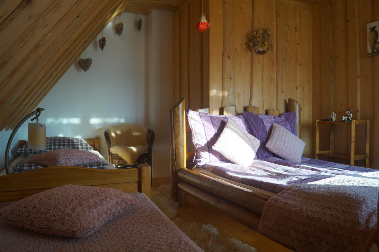 Apartamenty I Pokoje Rodzinne Czarna Góra Extérieur photo